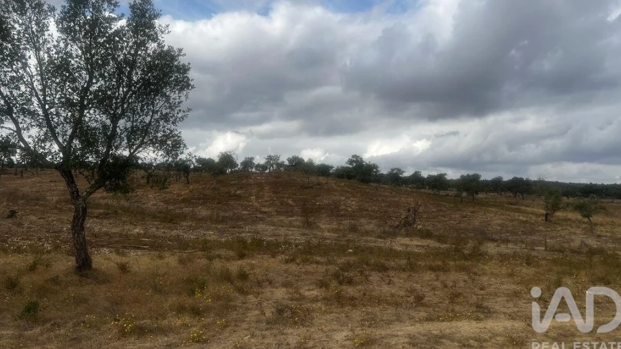 Terreno para Venda em Abela