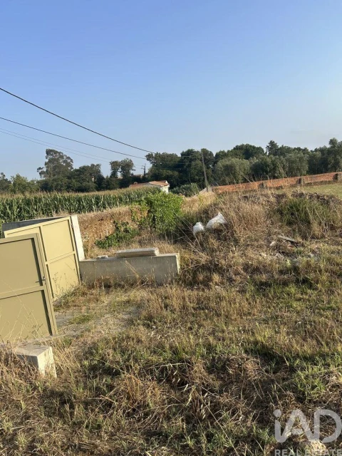 Terreno para Venda em Valega