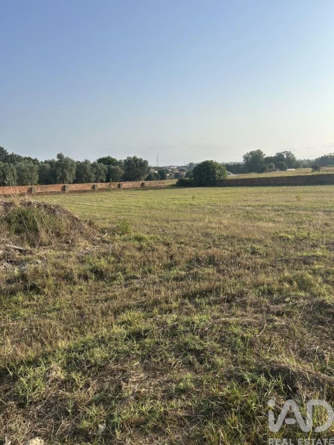 Terreno para Venda em Valega