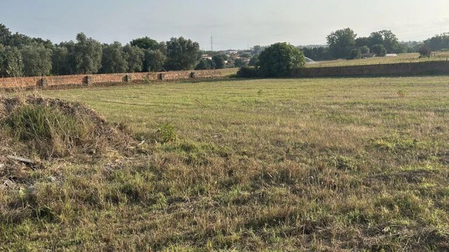 Terreno para Venda em Valega