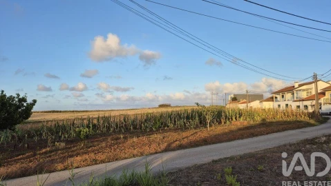 Terreno para Venda em Barrio