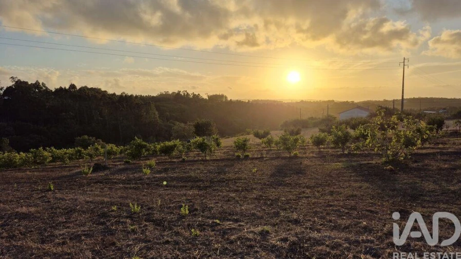 Terreno para Venda em Barrio Foto 4