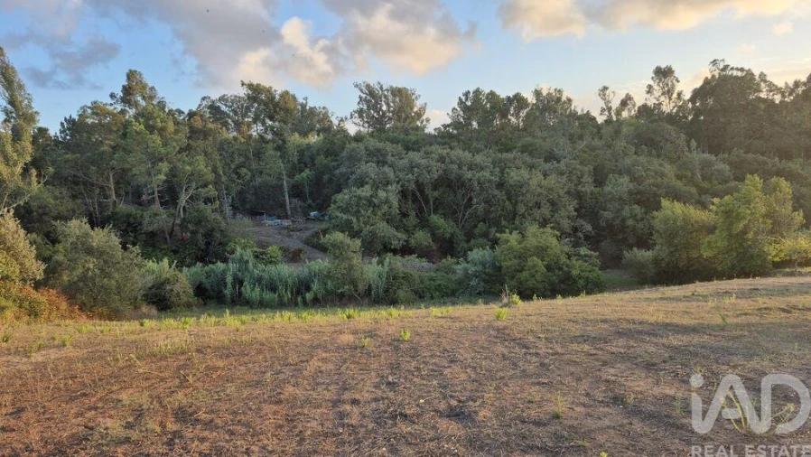 Terreno para Venda em Barrio Foto 7
