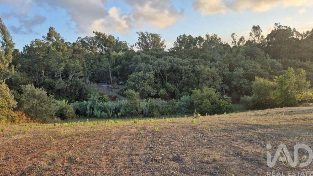 Terreno para Venda em Barrio Foto 7