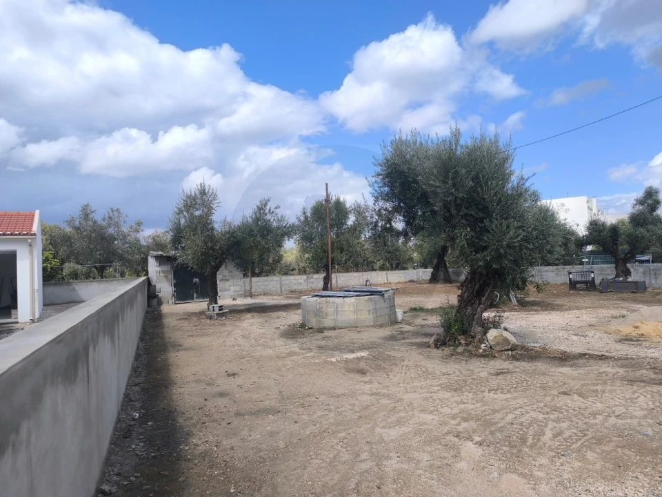 Terreno para Venda em Abrantes (São Vicente e São João) e Alferrarede Foto 1
