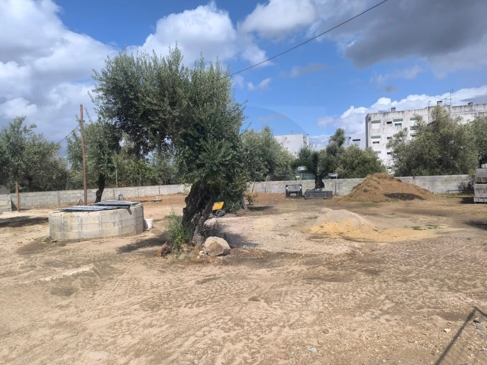 Terreno para Venda em Abrantes (São Vicente e São João) e Alferrarede Foto 4