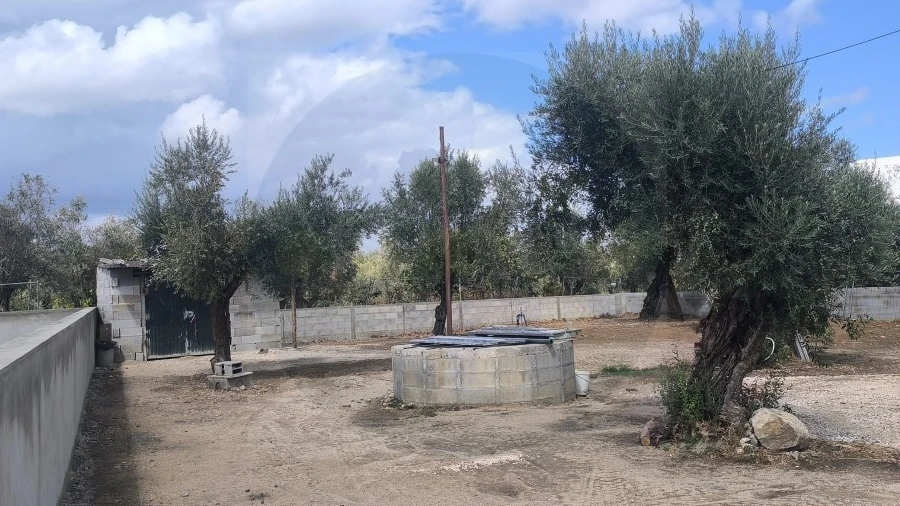 Terreno para Venda em Abrantes (São Vicente e São João) e Alferrarede