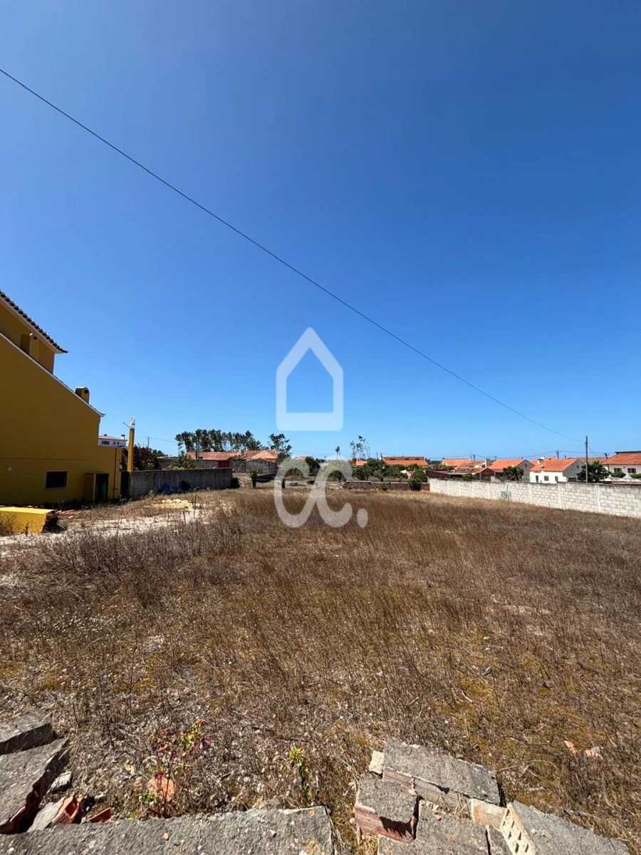 Terreno para Venda em Vieira de Leiria Foto 6