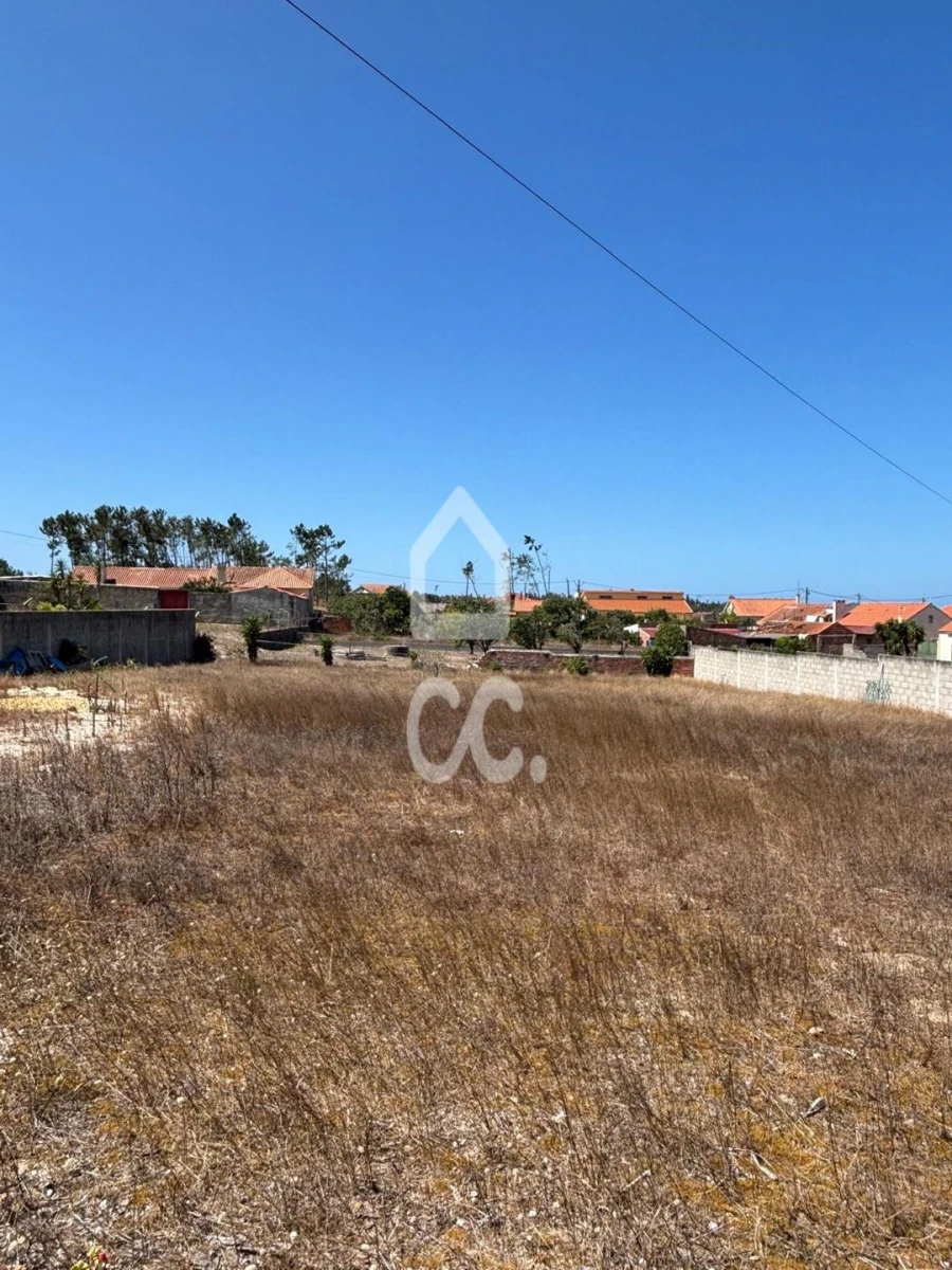 Terreno para Venda em Vieira de Leiria Foto 2