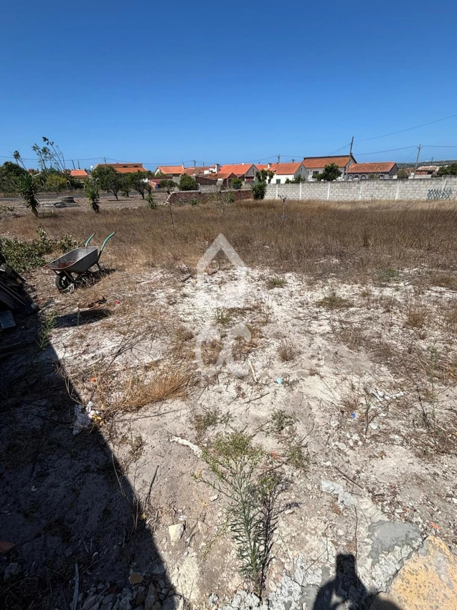 Terreno para Venda em Vieira de Leiria Foto 4