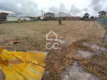 Terreno para Venda em Vieira de Leiria