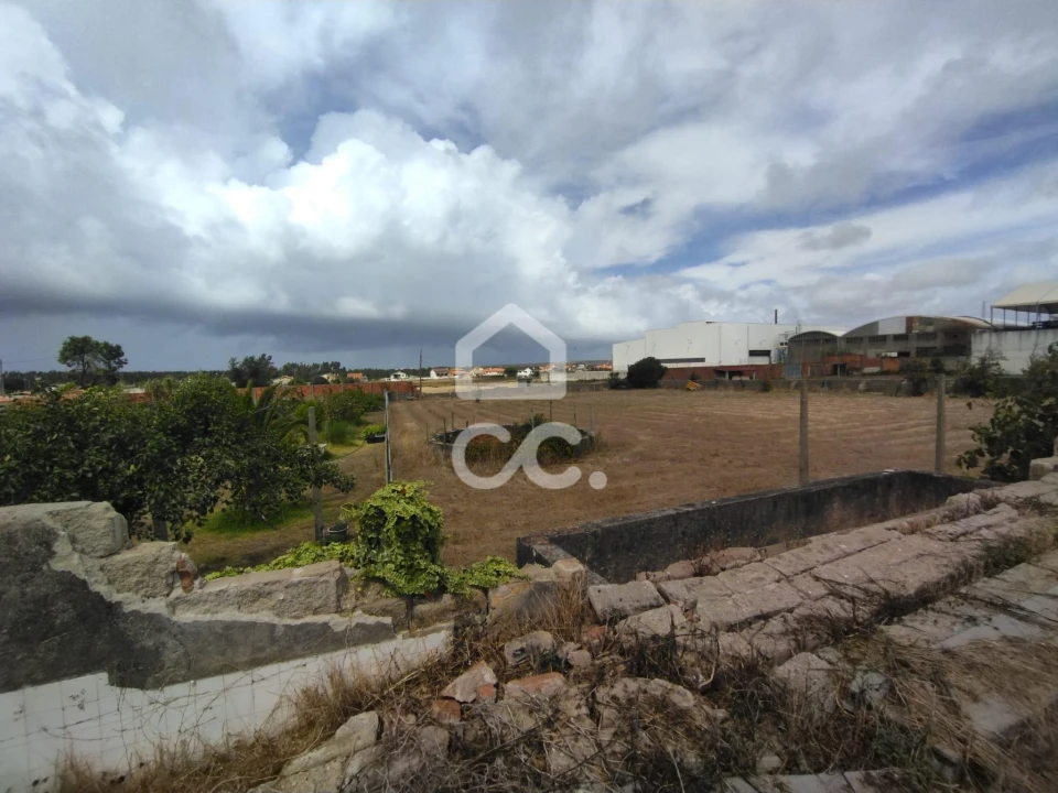 Terreno para Venda em Vieira de Leiria Foto 2
