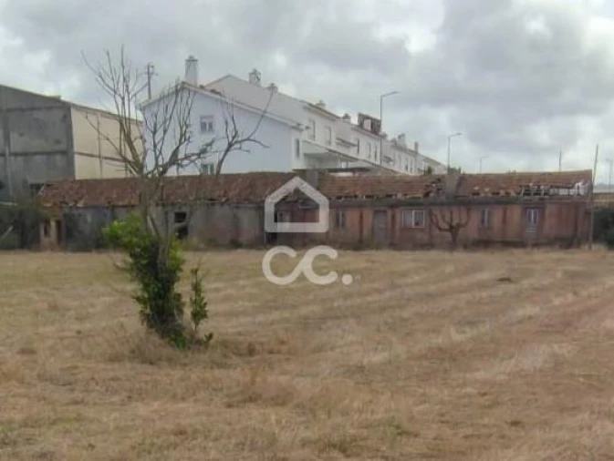 Terreno para Venda em Vieira de Leiria Foto 10