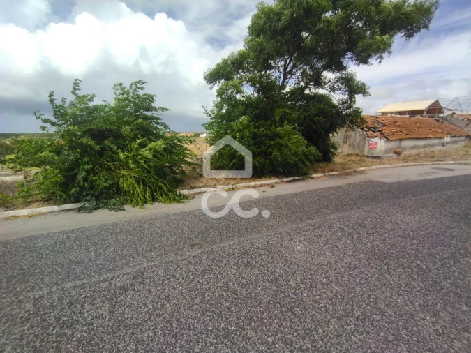 Terreno para Venda em Vieira de Leiria Foto 5