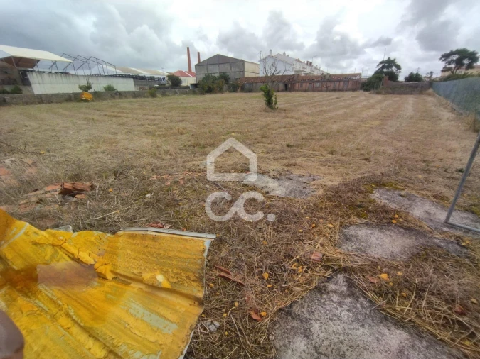 Terreno para Venda em Vieira de Leiria Foto 8