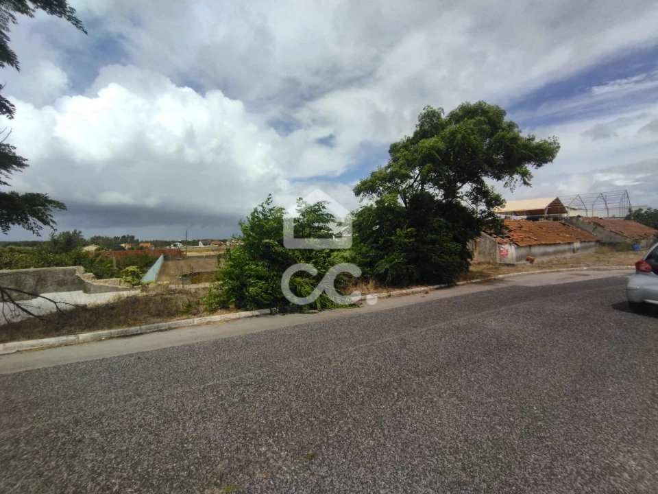Terreno para Venda em Vieira de Leiria Foto 4