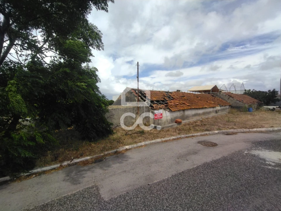Terreno para Venda em Vieira de Leiria Foto 1