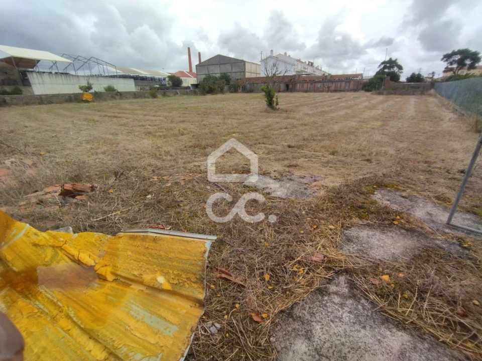 Terreno para Venda em Vieira de Leiria Foto 8