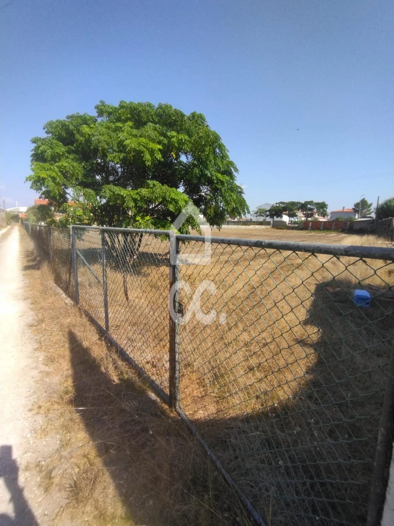 Terreno para Venda em Vieira de Leiria Foto 1