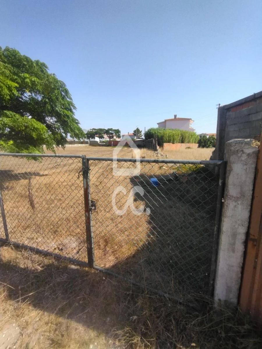 Terreno para Venda em Vieira de Leiria Foto 2