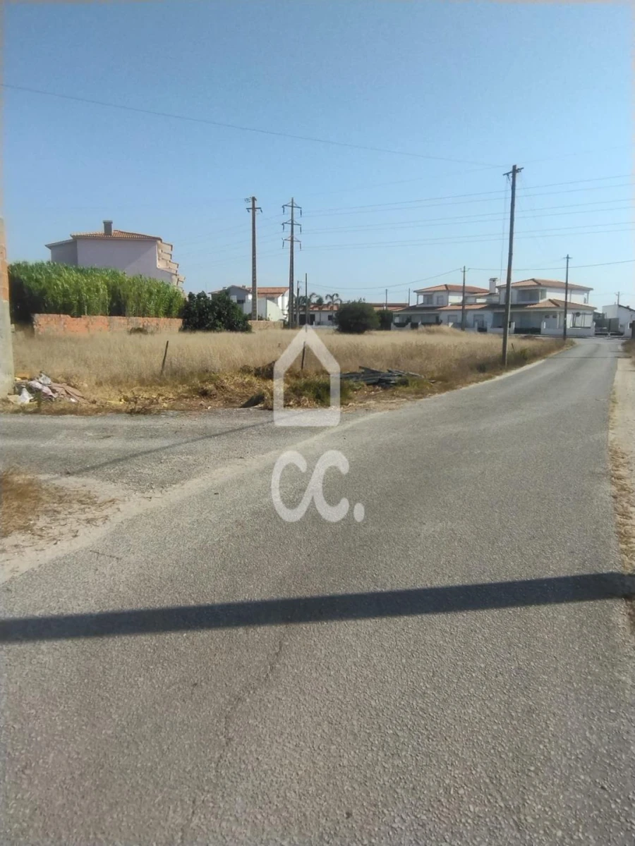 Terreno para Venda em Vieira de Leiria Foto 4