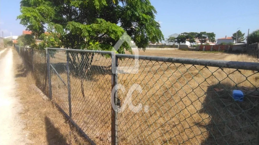 Terreno para Venda em Vieira de Leiria