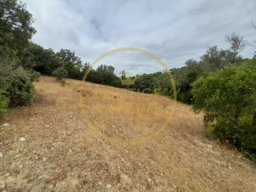 Terreno para Venda em Loule (São Sebastião)
