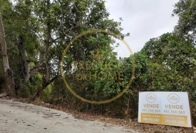 Terreno para Venda em Loule (São Sebastião)