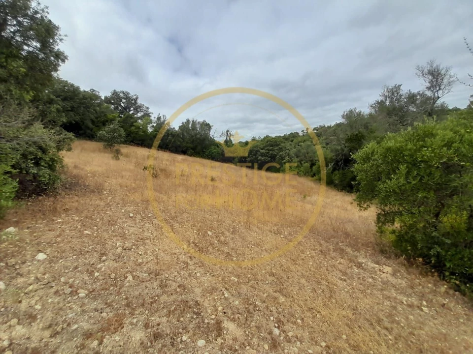 Terreno para Venda em Loule (São Sebastião) Foto 1