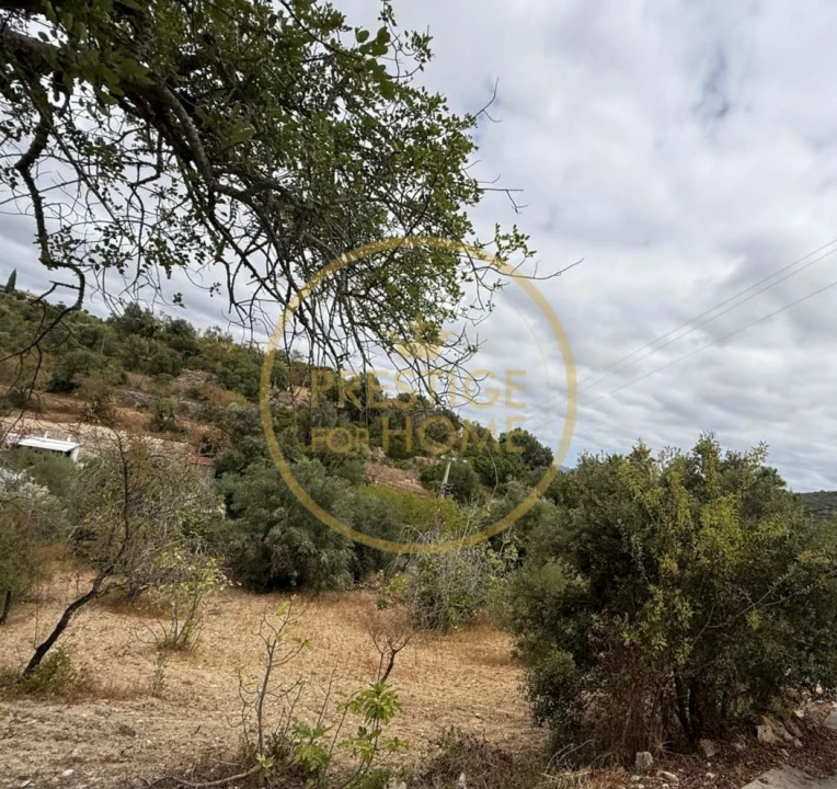 Terreno para Venda em Loule (São Sebastião) Foto 4