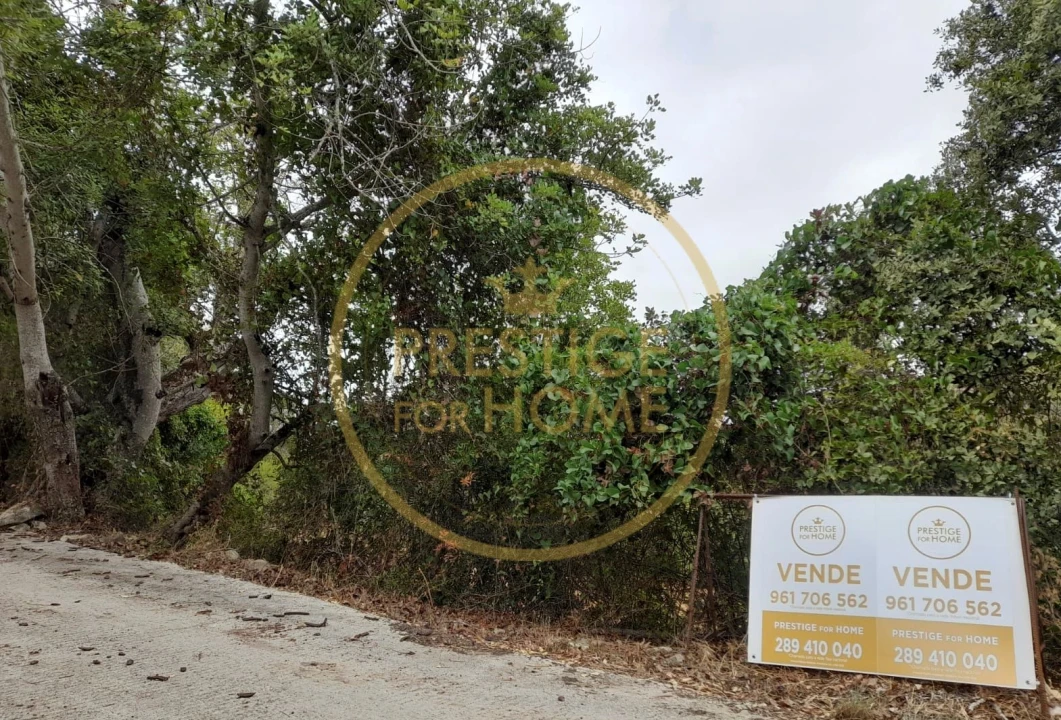 Terreno para Venda em Loule (São Sebastião) Foto 5