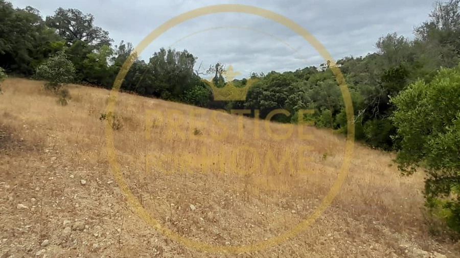 Terreno para Venda em Loule (São Sebastião)