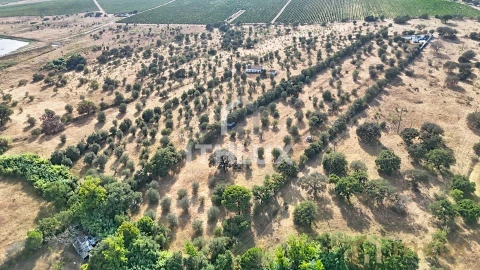 Quinta para Venda em São Gregório e Santa Justa