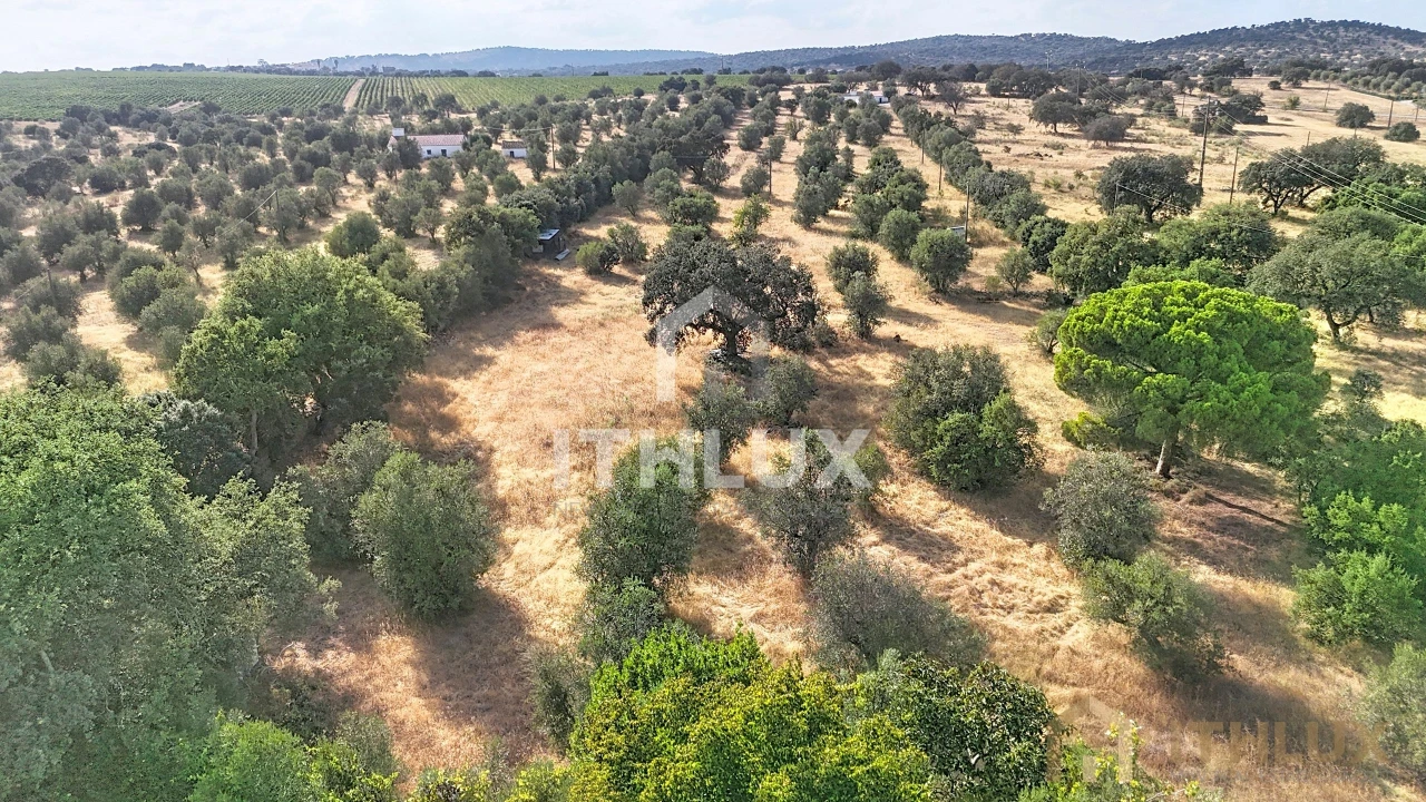 Quinta para Venda em São Gregório e Santa Justa Foto 14