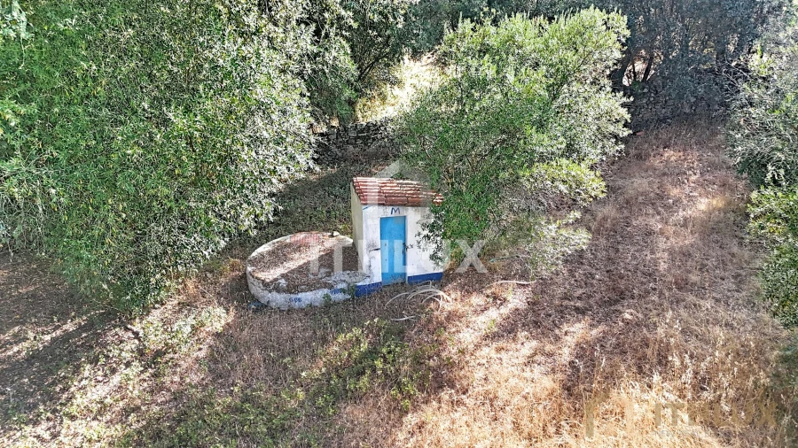 Quinta para Venda em São Gregório e Santa Justa Foto 13