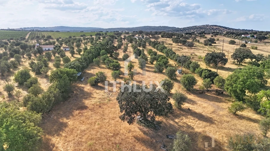 Quinta para Venda em São Gregório e Santa Justa Foto 15