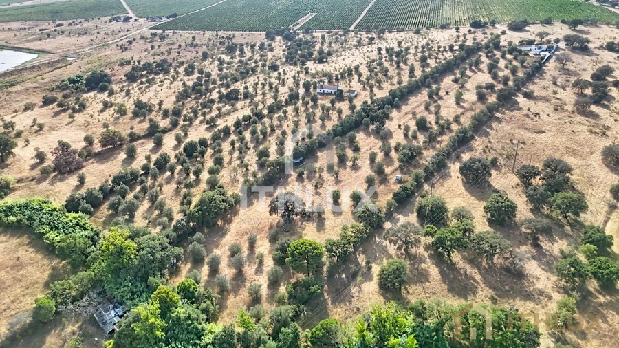 Quinta para Venda em São Gregório e Santa Justa Foto 12