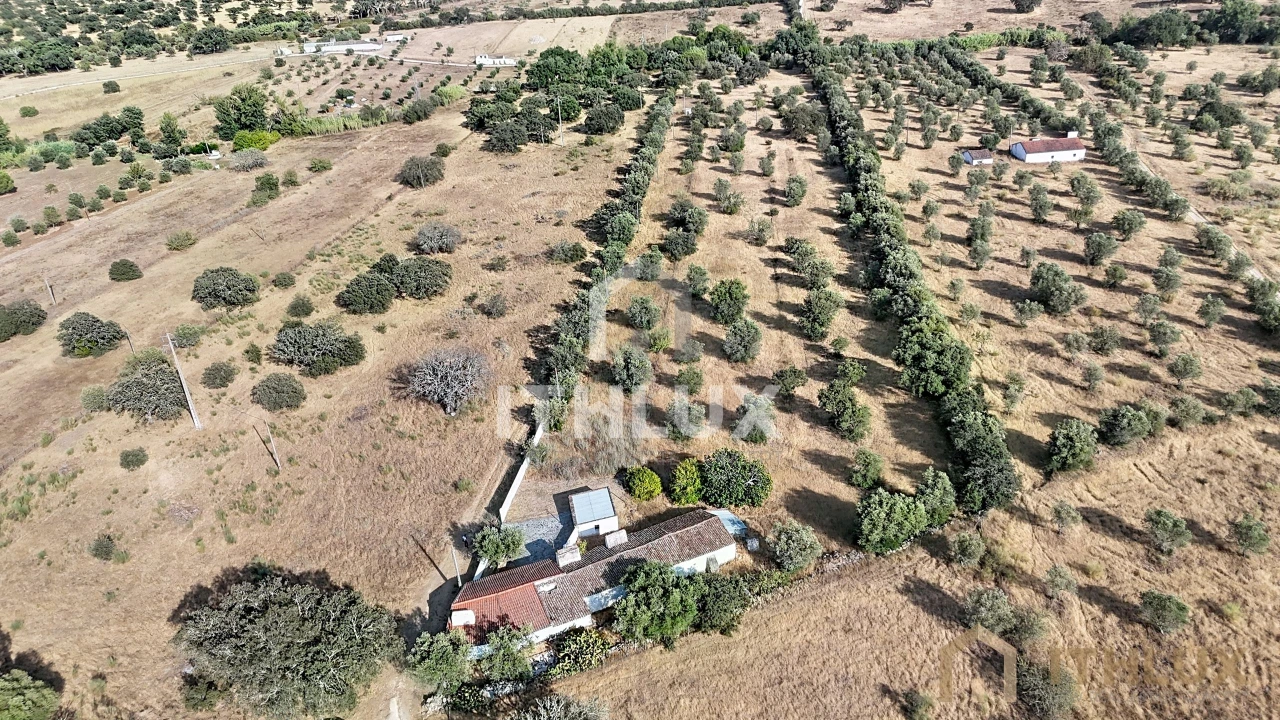 Quinta para Venda em São Gregório e Santa Justa Foto 1