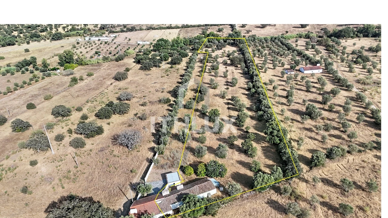 Quinta para Venda em São Gregório e Santa Justa Foto 2