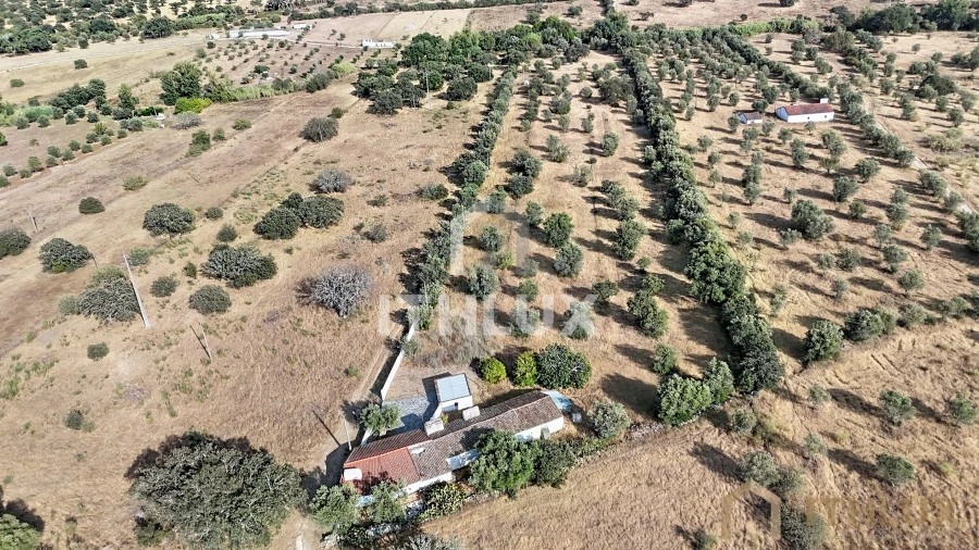 Quinta para Venda em São Gregório e Santa Justa