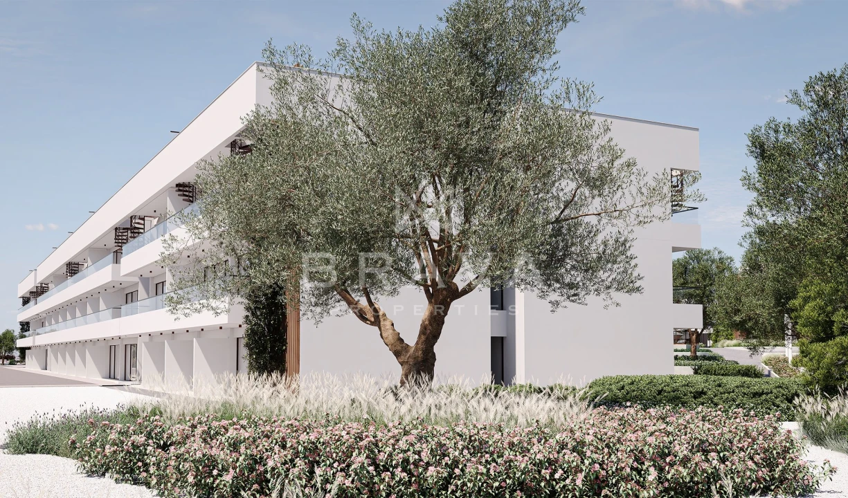 Apartamento para Venda em Lagoa e Carvoeiro Foto 2