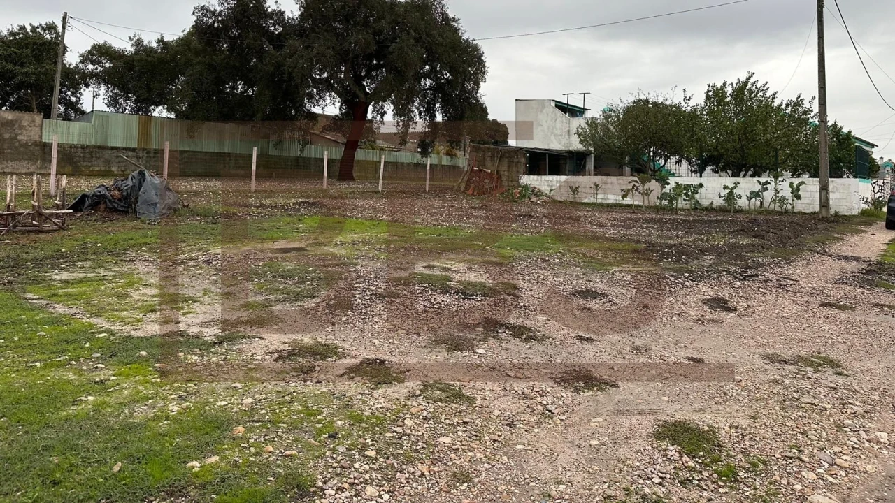 Terreno para Venda em Salvaterra de Magos e Foros de Salvaterra Foto 2