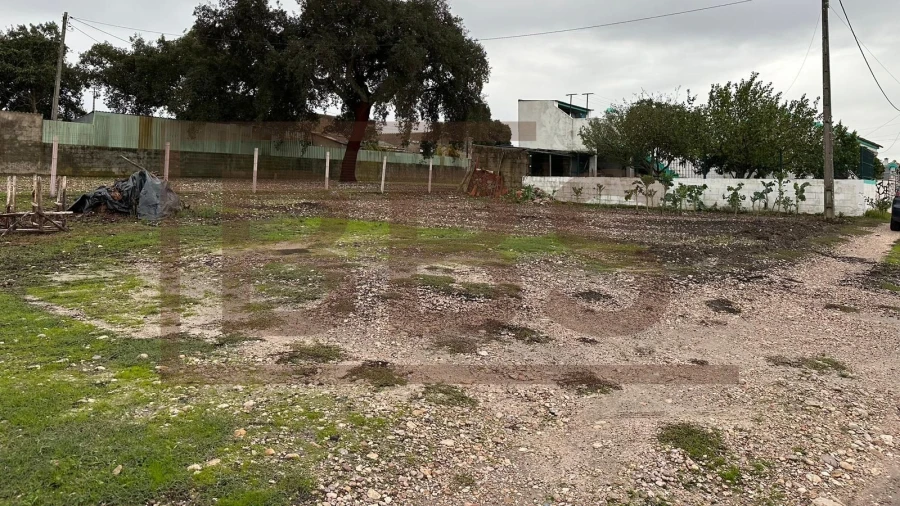 Terreno para Venda em Salvaterra de Magos e Foros de Salvaterra Foto 10