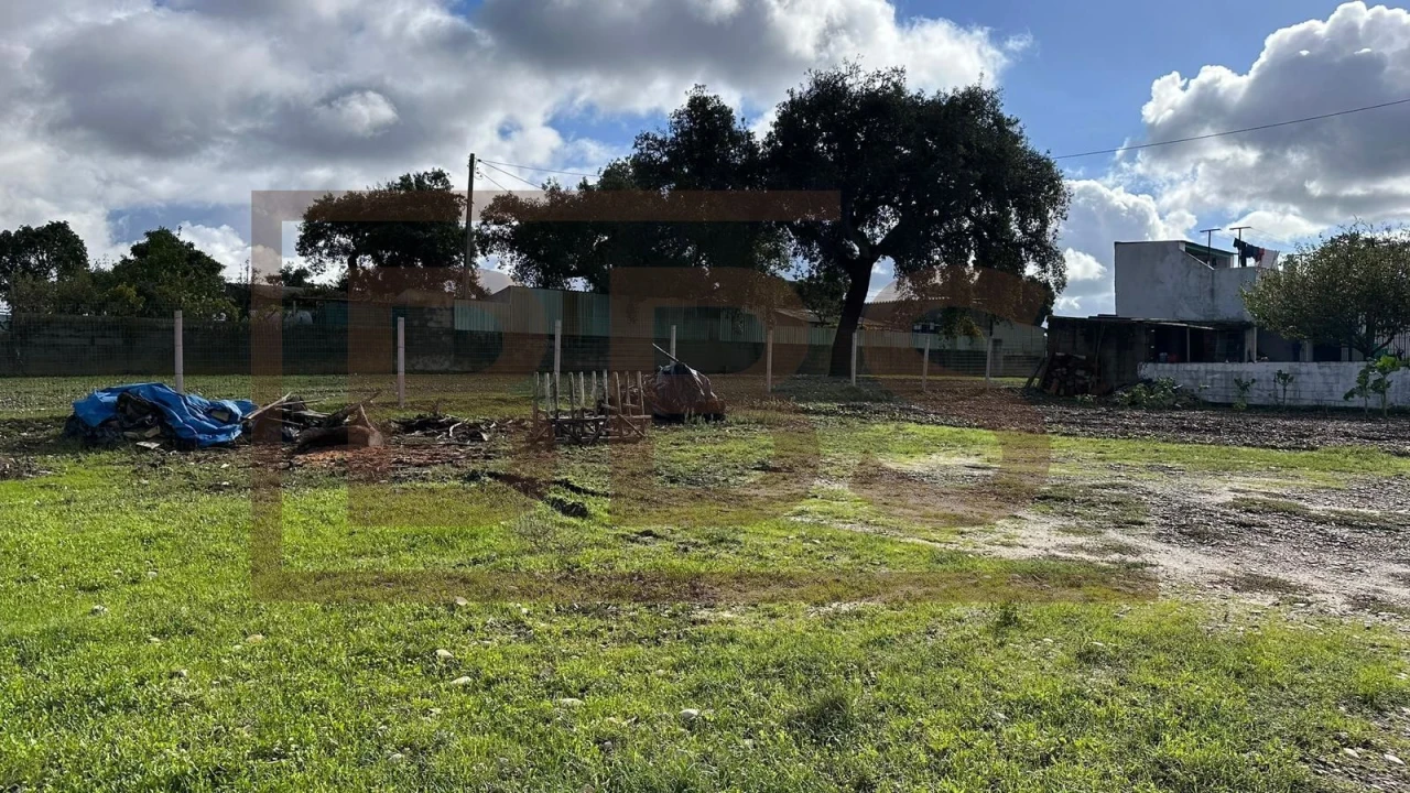 Terreno para Venda em Salvaterra de Magos e Foros de Salvaterra Foto 5
