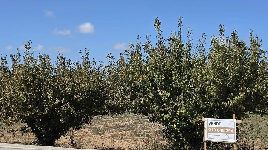 Terreno para Venda em Campelos e Outeiro da Cabeça