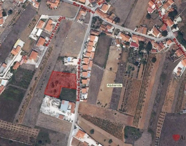 Terreno para Venda em Aljubarrota Planta 1
