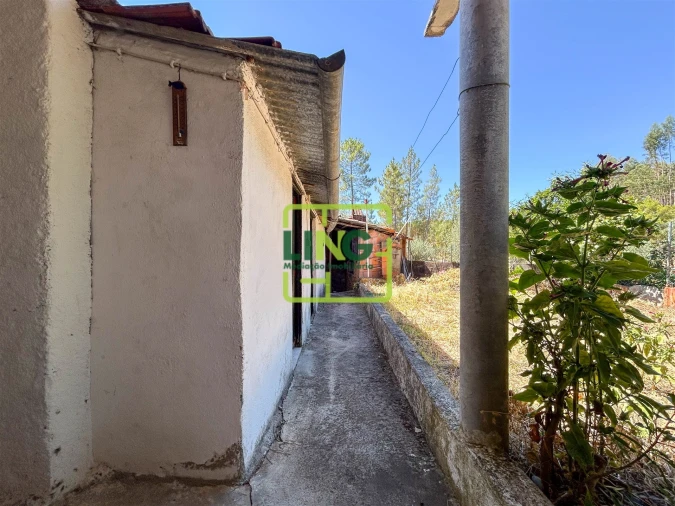 Moradia T3 para Venda em Sarzedas Foto 35