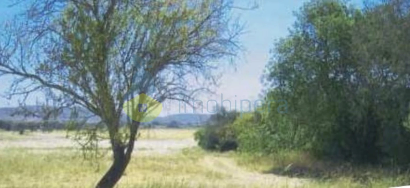 Terreno para Venda em Algoz e Tunes Foto 4