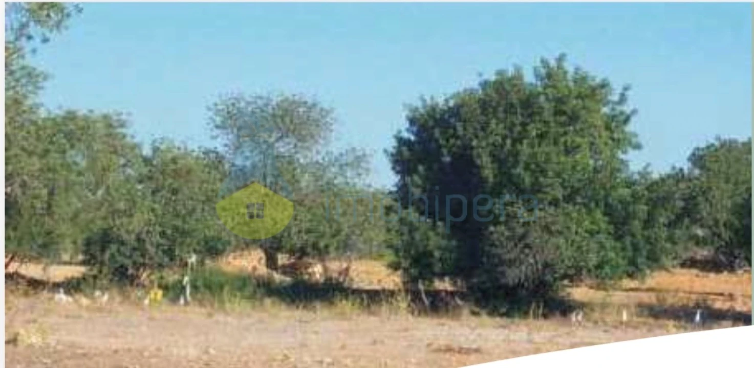 Terreno para Venda em Algoz e Tunes Foto 13