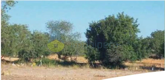 Terreno para Venda em Algoz e Tunes